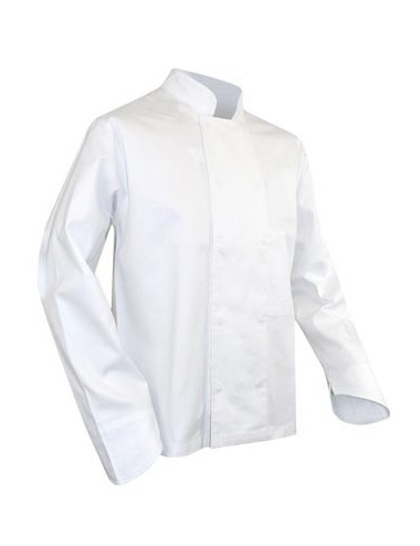 Veste cuisine coton blanche Poisson LMA cotepro