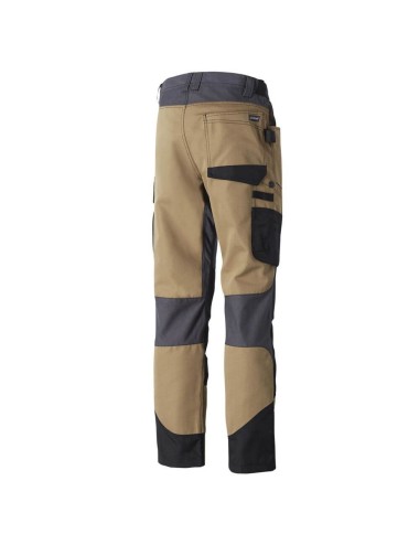 Pantalon travail artisans renforce outforce elite Molinel cotepro